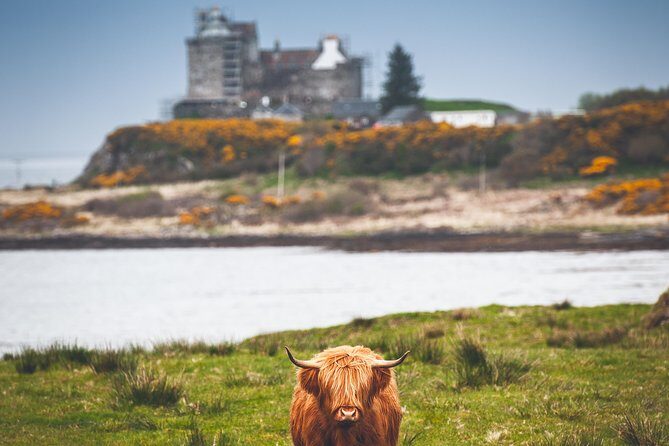 3-Day Isle of Mull and Iona Small-Group Tour from Glasgow - Your Ride: 16-Seat Comfort, No Bathroom on Board