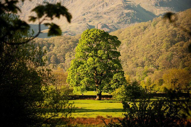 3-Day Lake District Explorer Small-Group Tour from Edinburgh - Who should book this Lake District Explorer tour