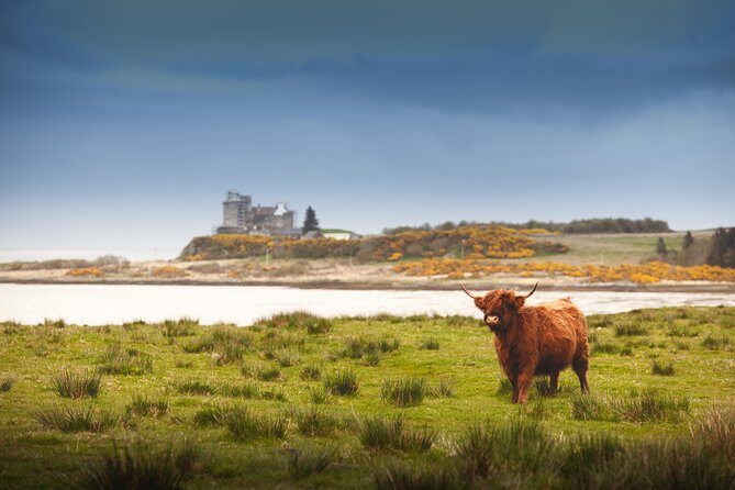 4-Day Magical Mull, Iona & West Highlands Small-Group Tour from Edinburgh - Where Your Money Goes: Value, Inclusions, and Extras