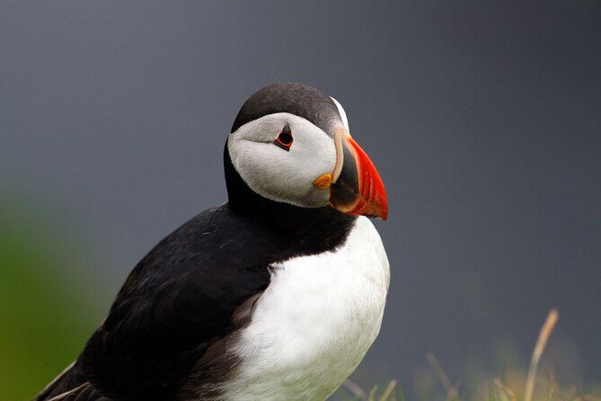 4 Day Mull, Iona and Staffa Puffin Experience from Edinburgh - The route: why this Mull, Iona, and Staffa trip works