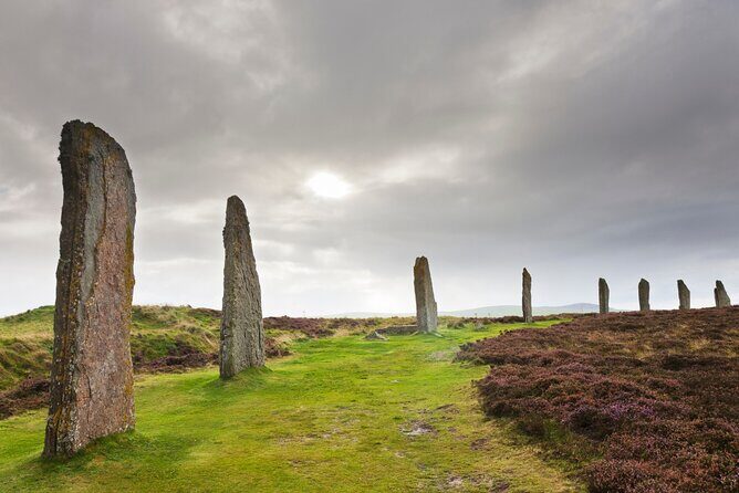 5 Days Orkney Islands & NC500 Tour from Glasgow - First Morning Out of Glasgow: Cairngorms Woodland Walk + Culloden