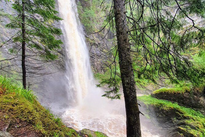 Alternative Loch Ness Tour by Secret Highlands - Stop 4: Plodda Falls, the single-track road, and that plunge-pool option (about 1 hour)