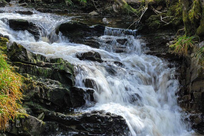 Alternative Loch Ness Tour by Secret Highlands - The guide makes the difference: Jamie and the local-way approach