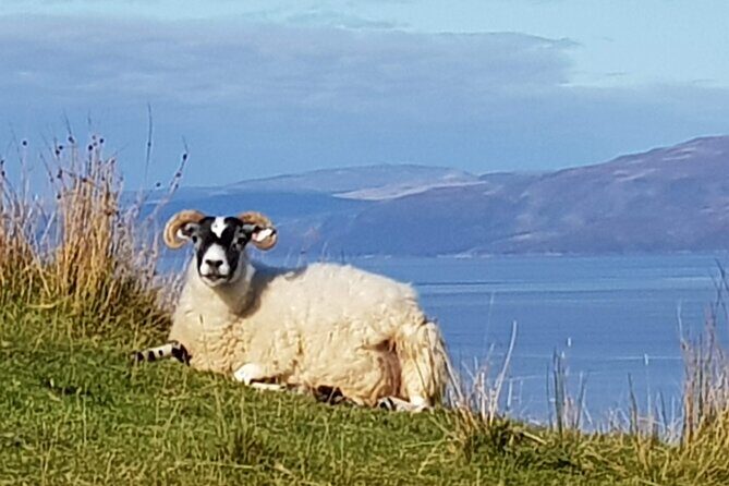 Bespoke Private Tours of Scotland and the Borders - Whisky tasting and the fun facts that make it click