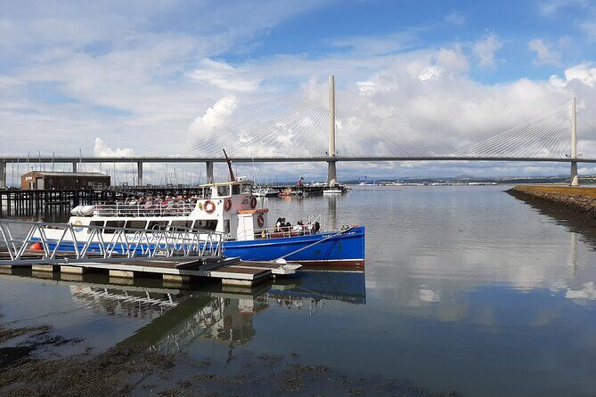 Blackness Castle Cruise - Wildlife on the Forth: What You Might Actually Spot