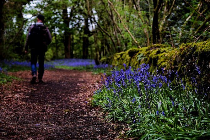 Central Scotland Driving Tour - Stirlingshire (Private) - Deanston Distillery: a guided tour that ends with tastings