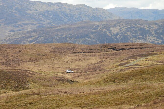 Discovery Wildlife Safari - What you might see in the Highlands (and what I’d expect)