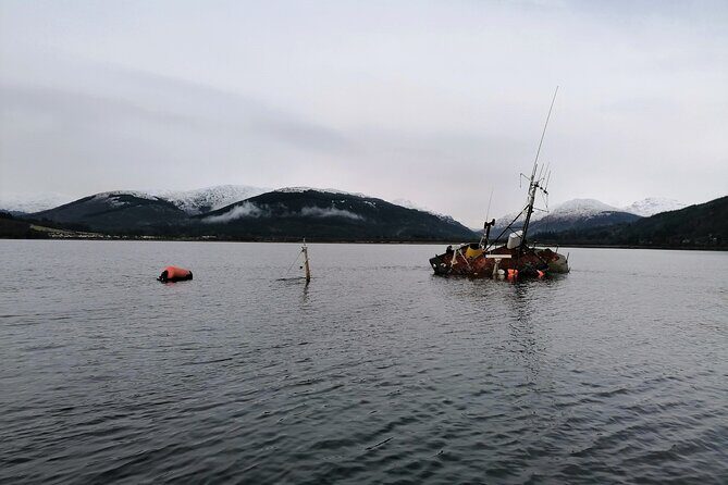 Doon The Watter - The RIB ride: speed, wildlife odds, and what’s actually provided