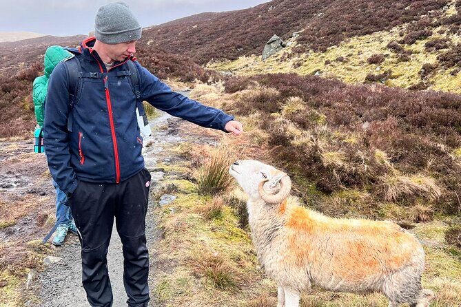 English Speaking Homestay Exploring Edinburgh and National Parks - Day 2 at Grey Mare’s Tail: waterfalls, Loch Skeen, and a long hike