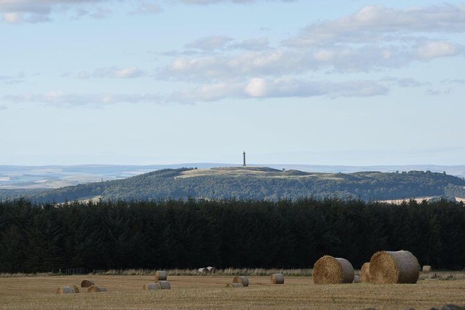 Farm Attraction - Highland Cows, Animal Feeding, Wholesome fun! - The Roman fort walk and den-building: why this is more than a farm photo stop