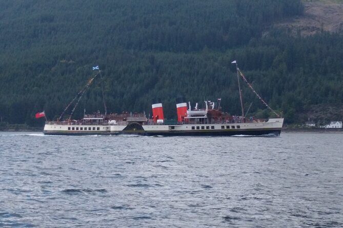 Full Day Private Hire - Carrick Castle on Loch Goil: raptor watching with a real 14th-century setting