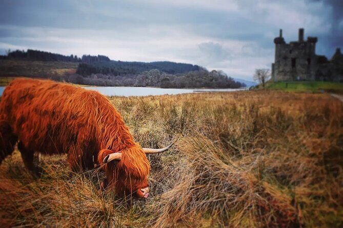 Full Day Private Tour in West Highlands, Oban and Glencoe - Pickup in Edinburgh: start the day already settled