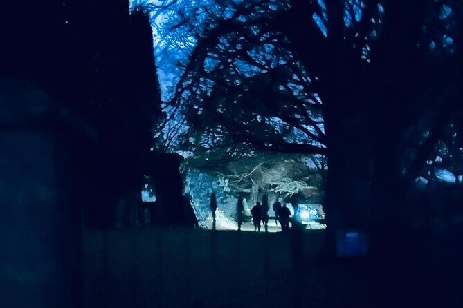 Ghost, Ghouls and Graveyards Private Highland Tour - Inverness Cathedral start: timing, comfort, and what to expect outside