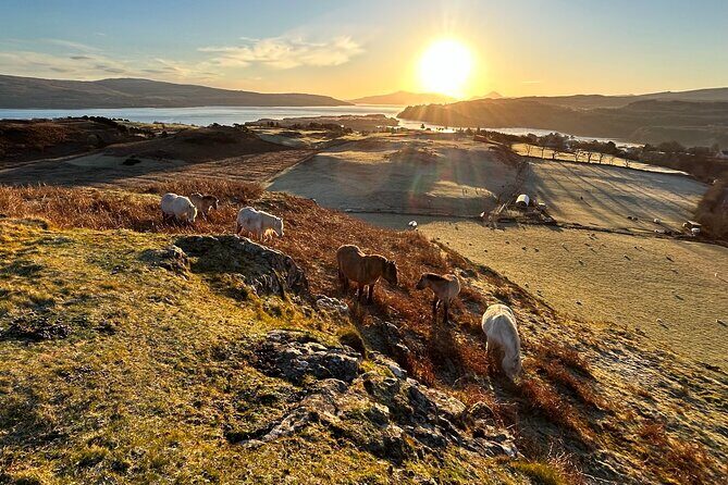 Guided Hebridean Farm Hike near Tobermory, Isle of Mull, Scotland - The 15th-century story at Bloody Bay (the optional second ridge)