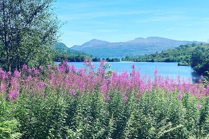 Half Day Loch Katrine Explorer Private Ebike Tour - Should You Book the Loch Katrine Explorer Private E-Bike Tour?