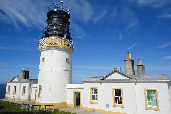 Half Day Private Tour with Puffins, Ponies and Past Shetland - Key Highlights That Make This Tour Worth Your Time