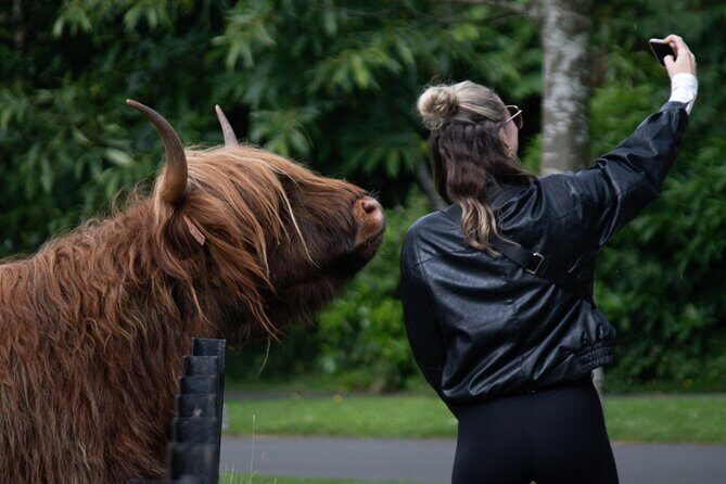 Highlands Cows Glencoe and Castles Private Tour from Edinburgh - Key Highlights You’ll Actually Feel During the Day