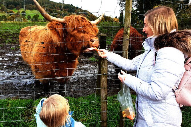 Highlands, Glencoe and Glenfinnan Viaduct Private Tour - Linlithgow, The Kelpies, Stirling Castle, and Wallace: quick hits with big silhouettes