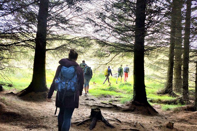 Hill & Nature Hike - Discover Real Edinburgh With a Local Expert - The Steep Bits, Wind, and Rain: What to Plan For