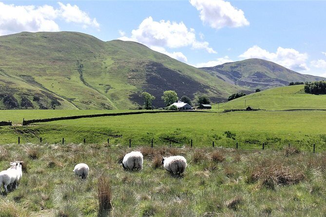 Hill & Nature Hike - Discover Real Edinburgh With a Local Expert - Who This Hike Is Best For (And Who Should Reconsider)