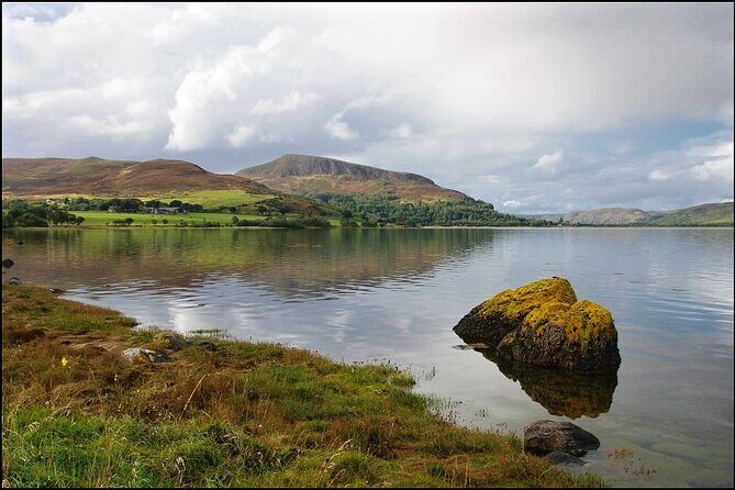 Invergordon cruise excursion Small Group Dunrobin Castle & More - Stop 4: Loch Fleet for Seals, Pinewoods, and Coastal Quiet