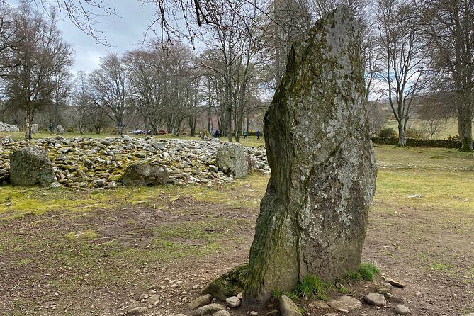 Invergordon Cruise Tour Loch Ness and Culloden - Singleton of Glen Ord whisky stop: what you’ll learn and what to expect