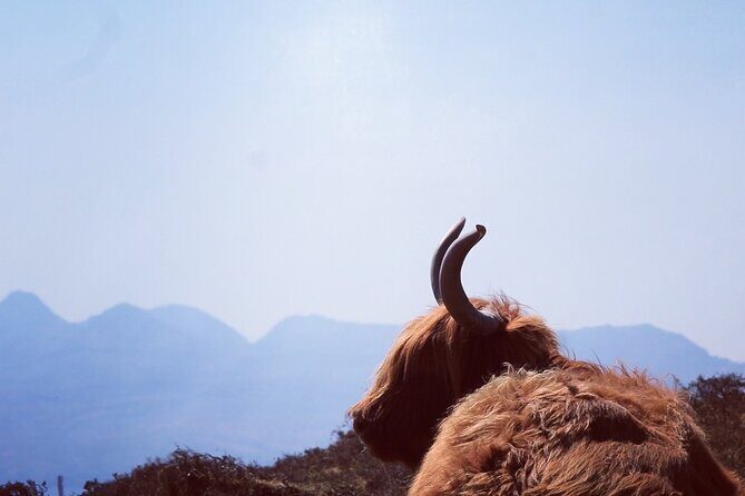 Isle of Skye and Fairy Pools Day Tour leaving from Portree - Key highlights worth waking up for