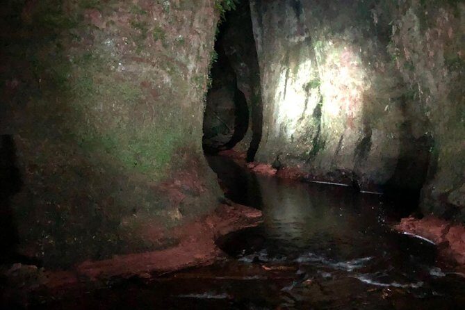 Join the Dark Side of Magical Nature - What to pack for a night glen walk (and what not to waste time on)