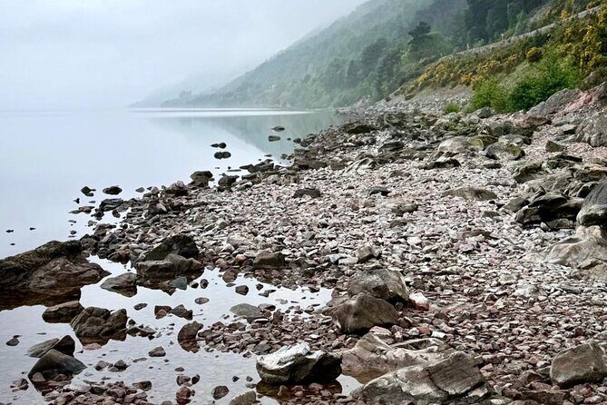 Loch Ness, Culloden, Clava and whisky/gin tour from Inverness. - Stop 2: Beauly Priory, Robertsons Farm Cows, and Local Produce