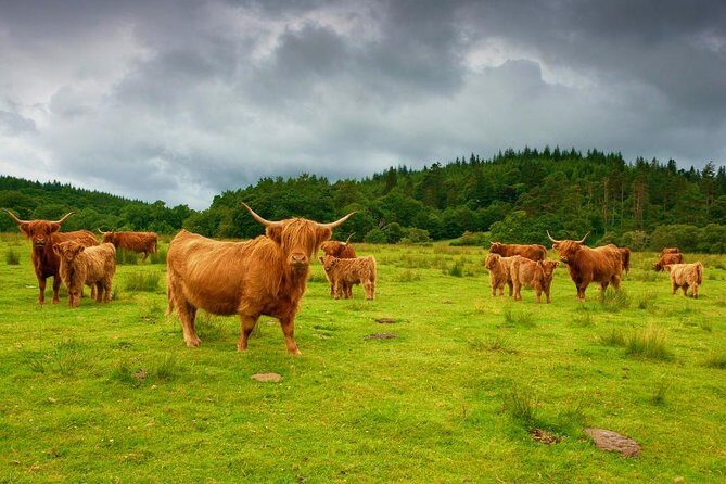 Loch Ness & Urquhart Castle Private Day Tour from Edinburgh - Pitlochry in 30 Minutes: Queen Victoria Country, on a Tight Schedule
