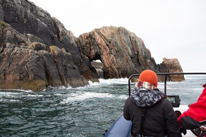 Northern Islands RIB Tour - Wildlife spotting: what you might see (and how the skipper improves odds)