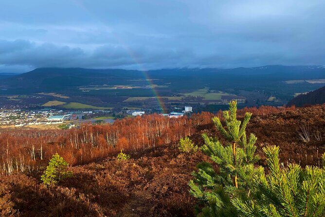 Private Cairngorm National Park tour - Key highlights to look forward to