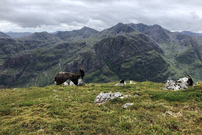 Private Guided Mountain Walking Experience in the Cairngorms - What’s Included vs. What You Must Bring (Lunch Is on You)