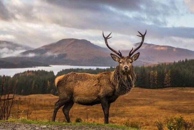 Private Isle of Skye Tour - Key things I’d plan around