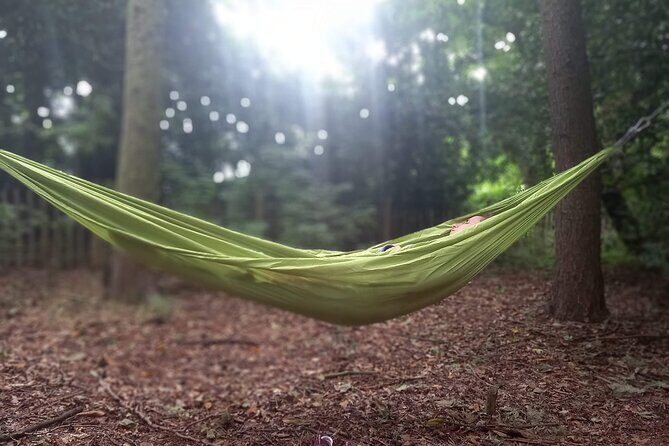 Private Mindfulness and Nature Walk in Edinburgh - The Mindfulness Tools You’ll Actually Use (Silent Reflection and Meditation)