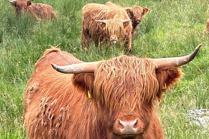 Private Tour of Loch Ness, Glencoe and Highlands from Edinburgh - Glencoe Visitor Centre and The Three Sisters: geology, wildlife talk, and a house you can enter