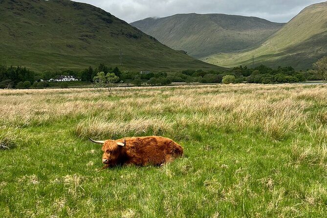 Private Tour to the Stunning Scottish Highlands & Glencoe - Kilchurn Castle Ruins: The Walk That Often Steals the Show