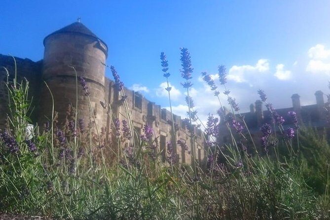 St Andrews, Falkland and Fife Villages Tour from Edinburgh - A 9-Hour Route That Works for Your First Fife Day