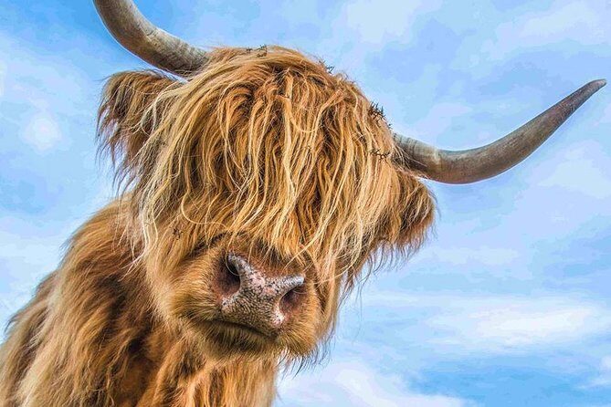 Stirling Castle Loch Lomond and Trossachs National Park day tour - Key things to know before you go