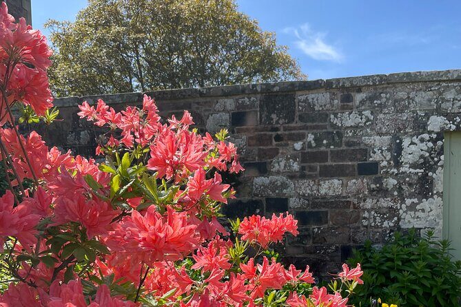 Stone & Story: Rosslyn Chapel & Melrose Abbey Private Day Trip - Dryburgh Abbey: quiet ruins and a final literary landing