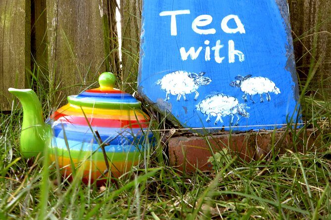 Tea with Naughty Sheep - Dress for mud and nibbling: the Scotland outdoor reality check