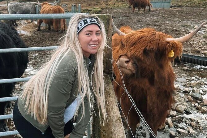 Ultimate Day tour Edinburgh: Glencoe, Highland Cows, Loch Lomond - Kilmahog Highland cows: the coos you can meet and feed
